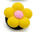 Sunny Bloom