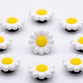 Daisy Glow Charm